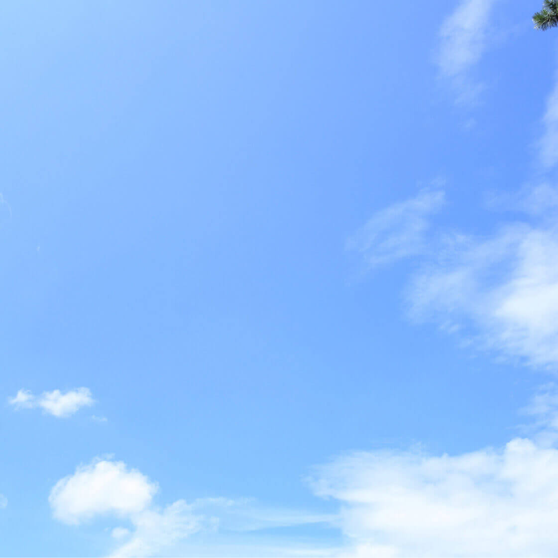 医療法人 恵愛会 福間病院