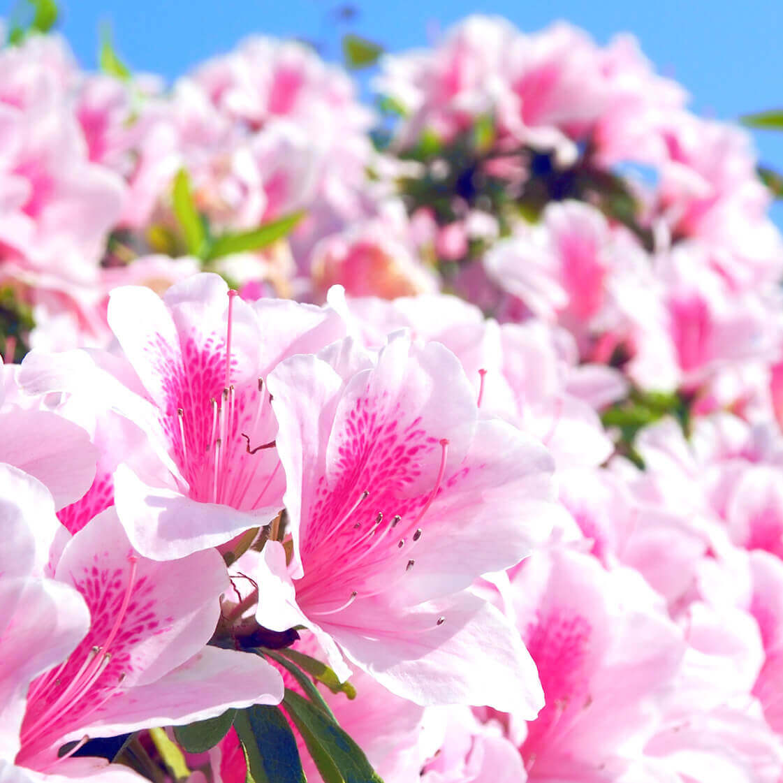 医療法人 恵愛会 福間病院