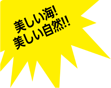 美しい海！美しい自然！！