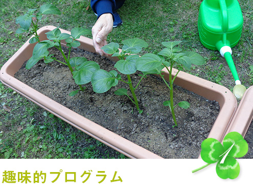 趣味的プログラム